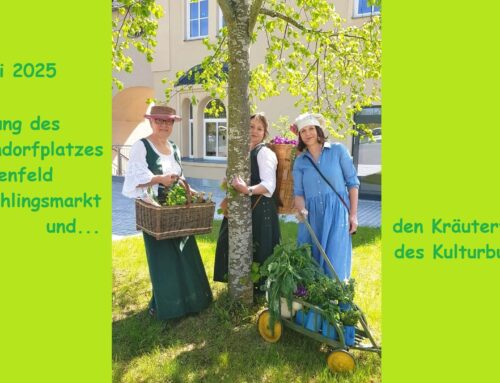 Oxymel zum Frühlingsmarkt